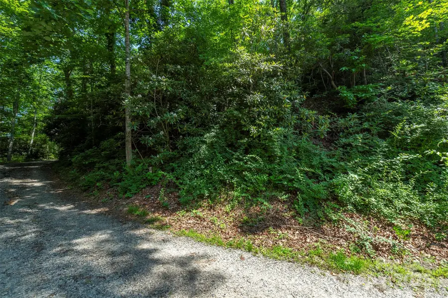 5 Roy Lane, Black Mountain, NC 28711 - Image #2