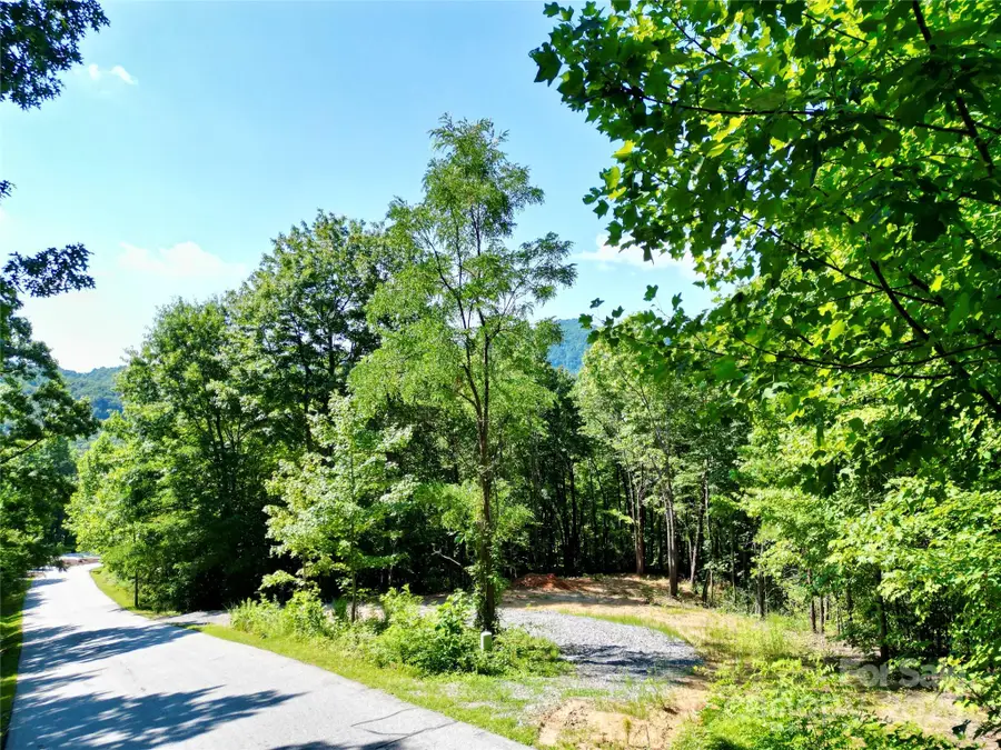 1915 Catawba Falls Parkway #232, Black Mountain, NC 28711 - Image #2