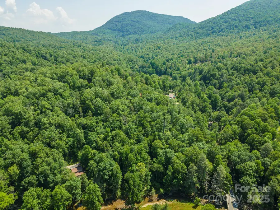 11 Roy Lane, Black Mountain, NC 28711 - Image #3