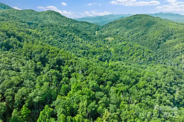 TBD Bear River Lodge Trail #132, Marshall, NC 28753