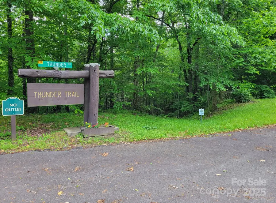 TBD Bear River Lodge Trail #123 &124, Marshall, NC 28753 - Image #2