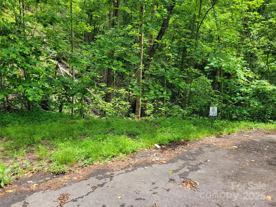 TBD Bear River Lodge Trail #123 &124, Marshall, NC 28753 - Image #3