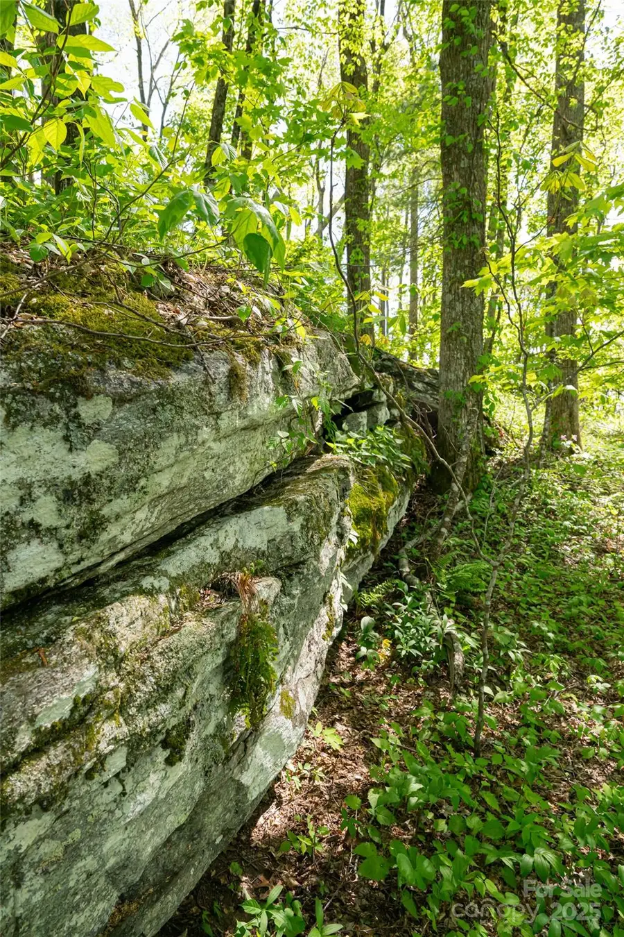 000 Laurel Ledge Way #23, Fletcher, NC 28732 - Image #2