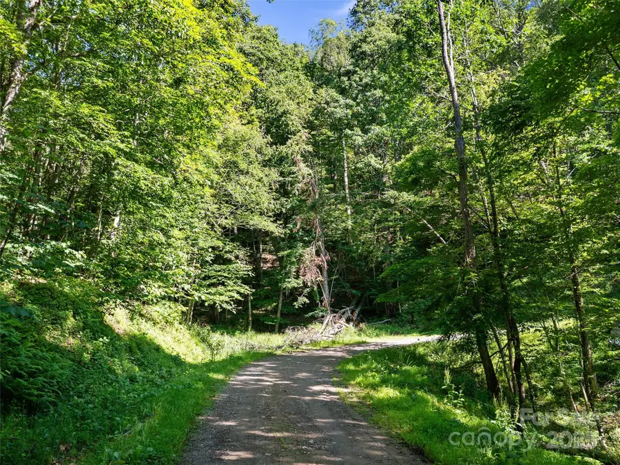 0 Chestnut Lane #Lot 84, Mars Hill, NC 28754 - Image #3