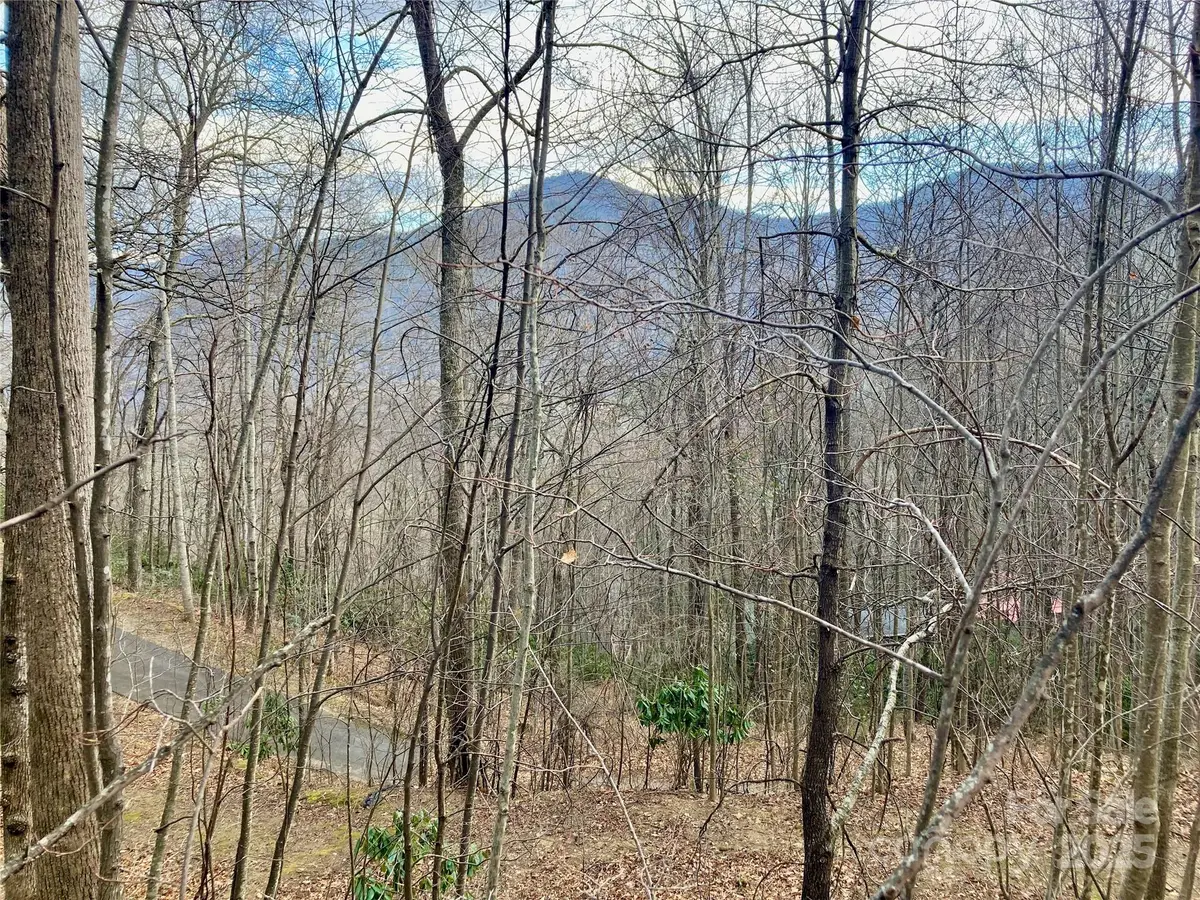 402 Loveland Road #4, Maggie Valley, NC 28751 - Image #1