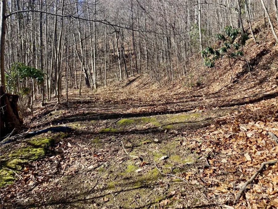 402 Loveland Road #4, Maggie Valley, NC 28751 - Image #3