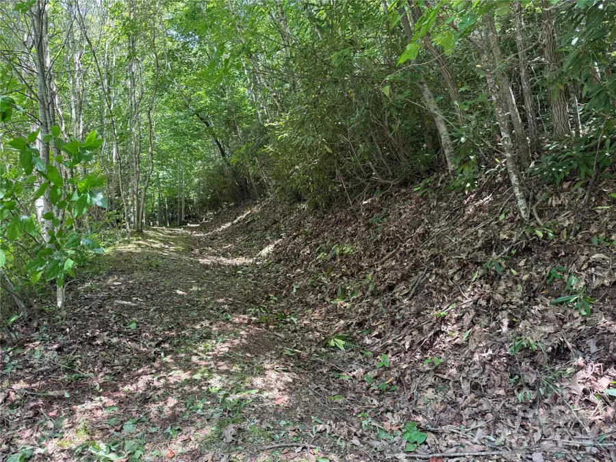 25 Fairview Pointe Drive, Fairview, NC 28730 - Image #2