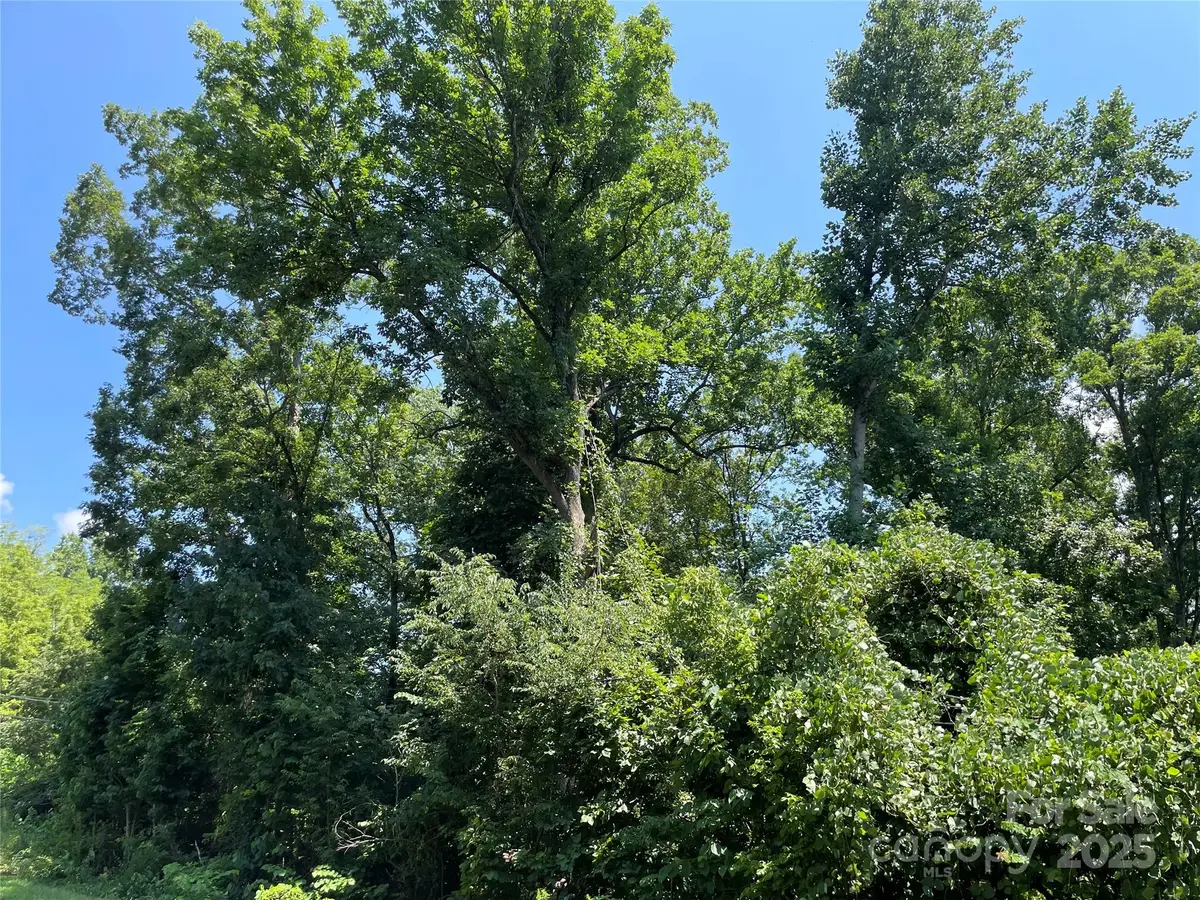 0 Pine Ridge Road, China Grove, NC 28023 - Image #1