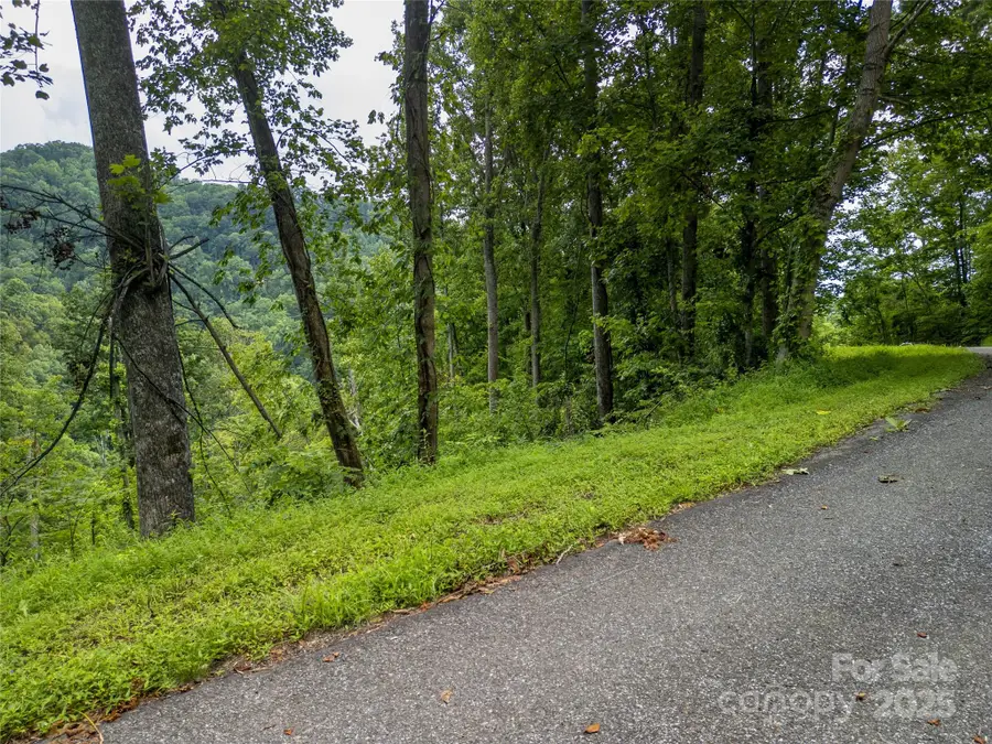 364 Chisel Rock Way, Weaverville, NC 28787 - Image #3