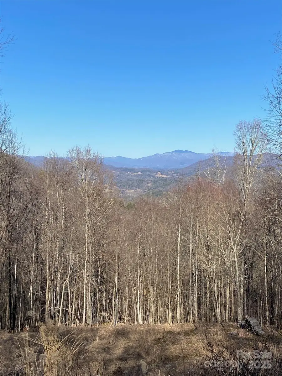 999 Red Wolf Run #48, Mars Hill, NC 28754 - Image #2