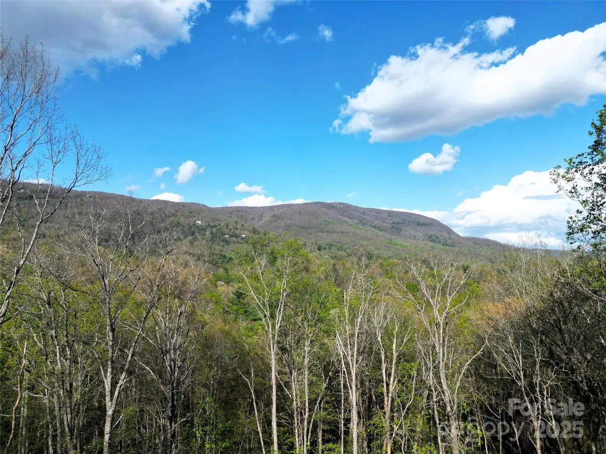 297 Easy Springs Road, Sapphire, NC 28774 - Image #1