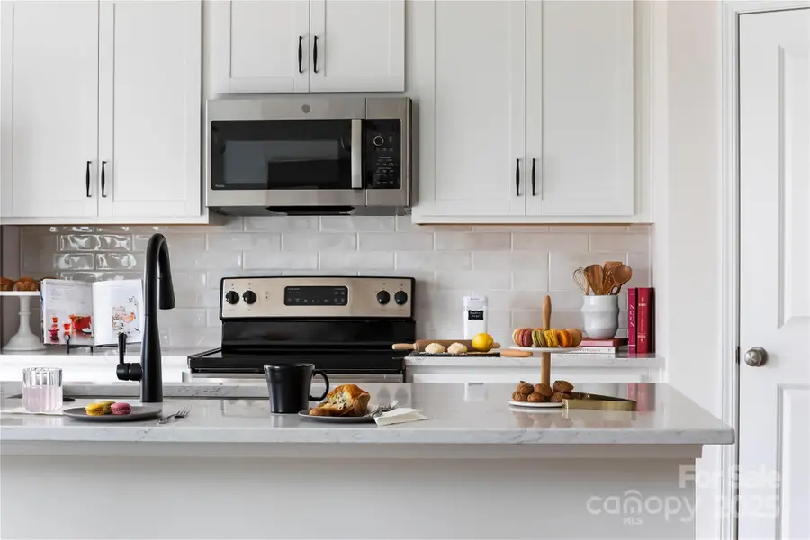 3041 Hutton Gardens Lane, Charlotte, NC 28269 - Image #2