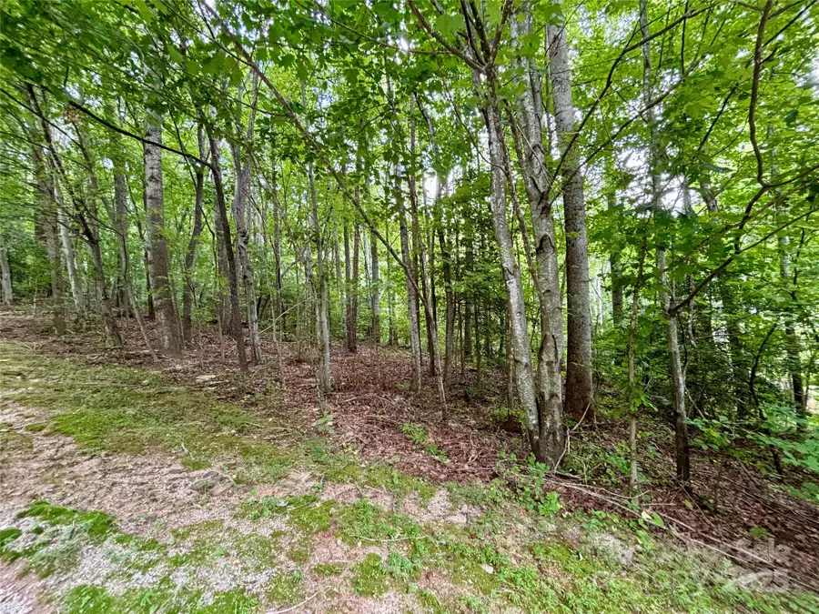 0 Sunlight Ridge Court, Hendersonville, NC 28792 - Image #3