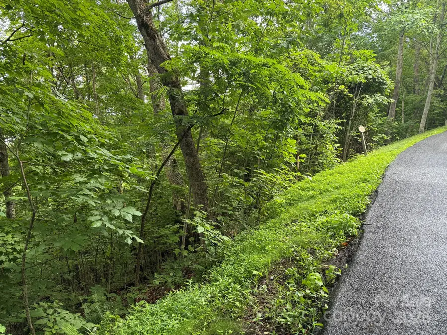 Lot 3 Heritage Ridge Road #3/4, Burnsville, NC 28714 - Image #3