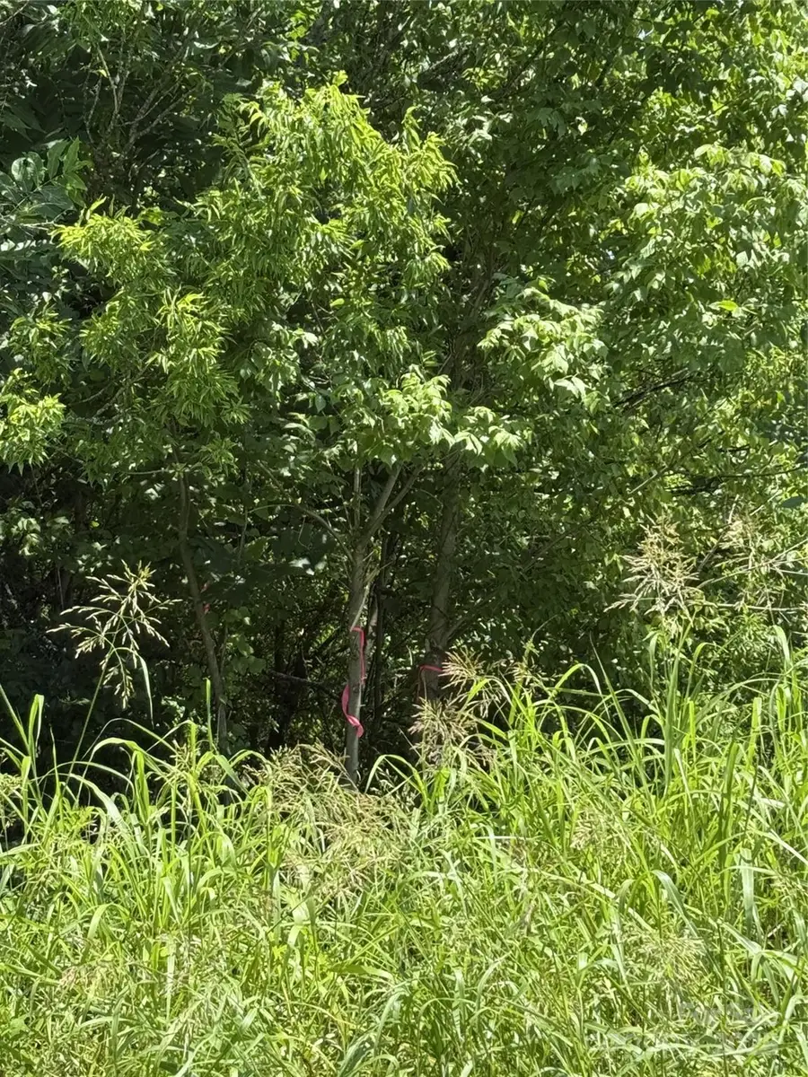 Lot 4 AND 5 W Elliot Street, Chester, SC 29706 - Image #3