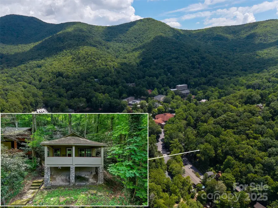 328 Texas Road, Montreat, NC 28757 - Image #2
