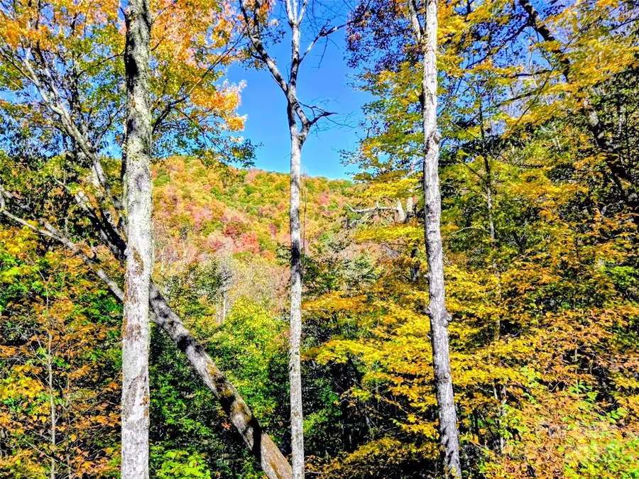 1158 Plott Balsam Road, Maggie Valley, NC 28751 - Image #2