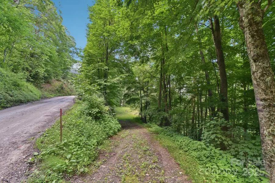 0000 Plott Balsam Road, Maggie Valley, NC 28751 - Image #2