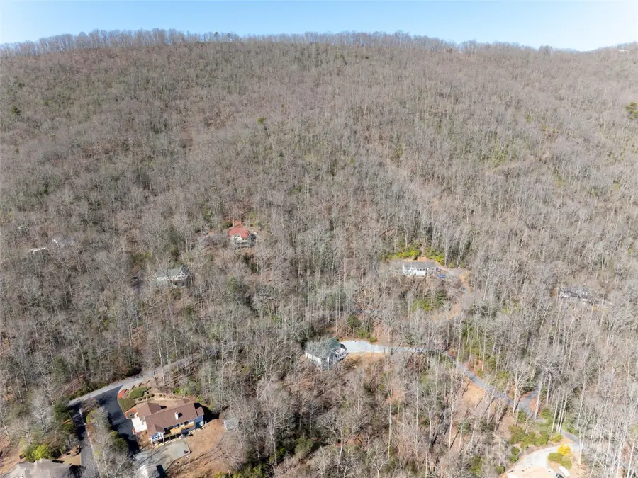 27 Alpen Rose Way, Mills River, NC 28759 - Image #2