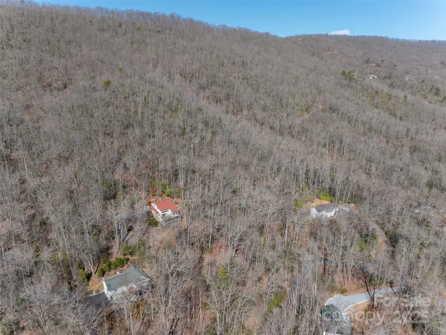 27 Alpen Rose Way, Mills River, NC 28759 - Image #3