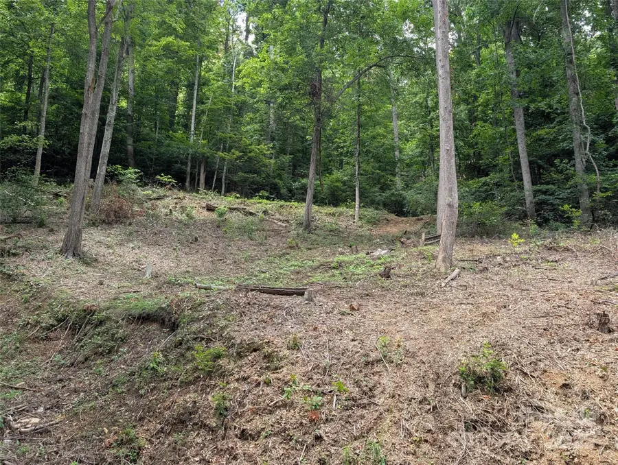 99999 Running Deer Lane #72, Mars Hill, NC 28754 - Image #2