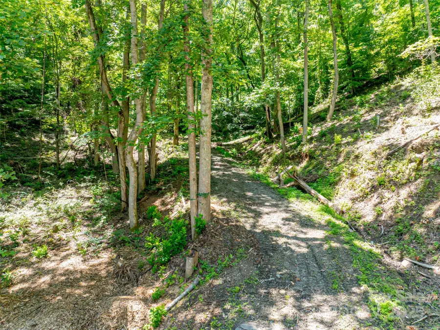 99999 Running Deer Lane #72, Mars Hill, NC 28754 - Image #3