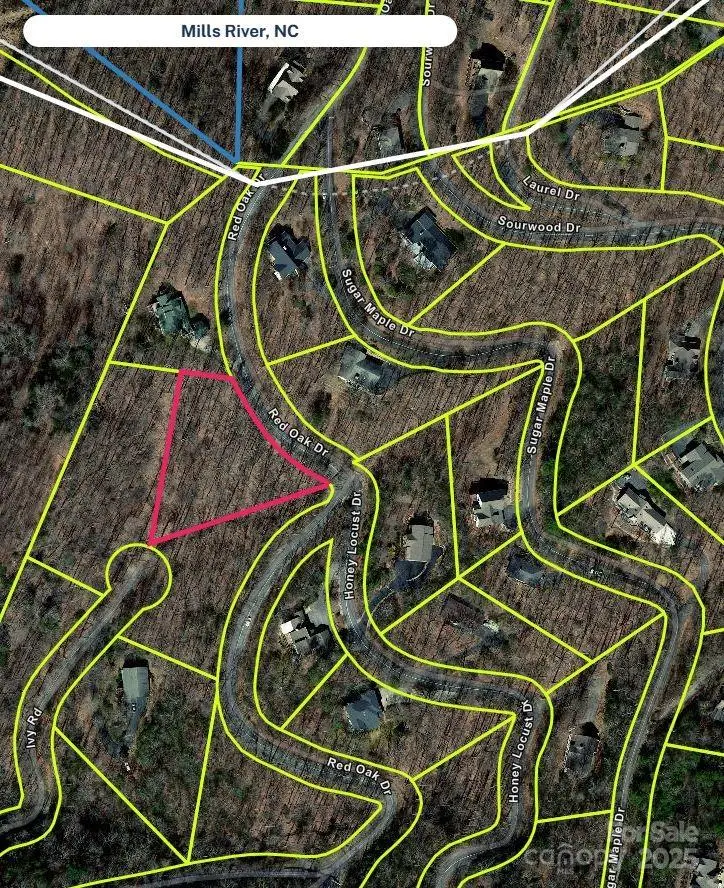 217 High Vista Road, Mills River, NC 28759 - Image #3