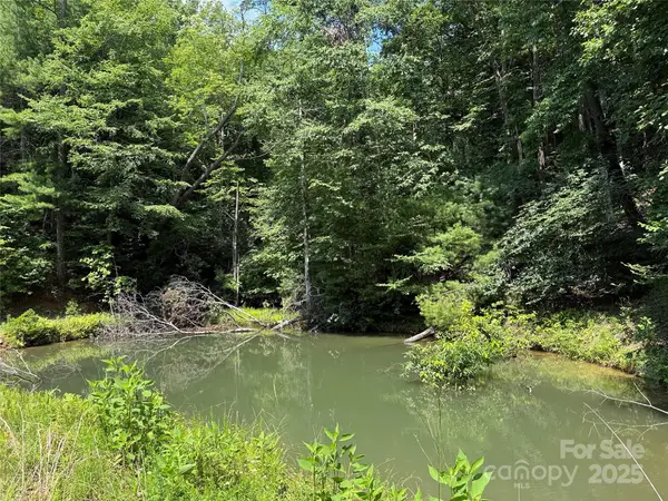 TBD Staghorn Road, Purlear, NC 28665