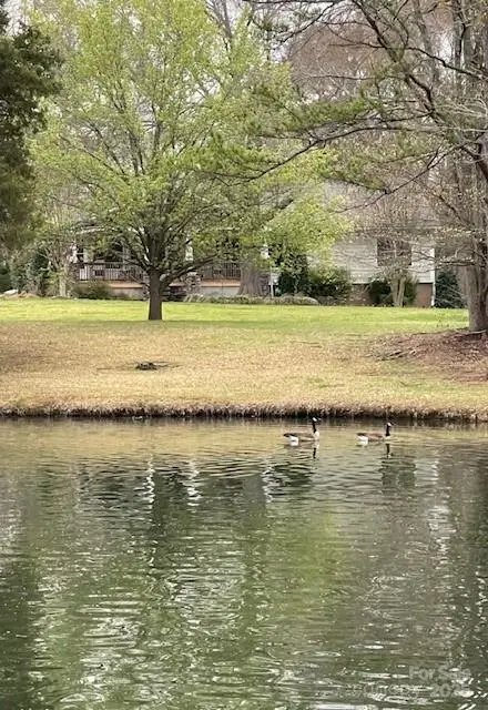 9199 Horseshoe Circle, Indian Land, SC 29707 - Image #2