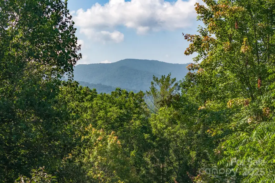 212 Blue Ridge Vista, Asheville, NC 28805 - Image #2