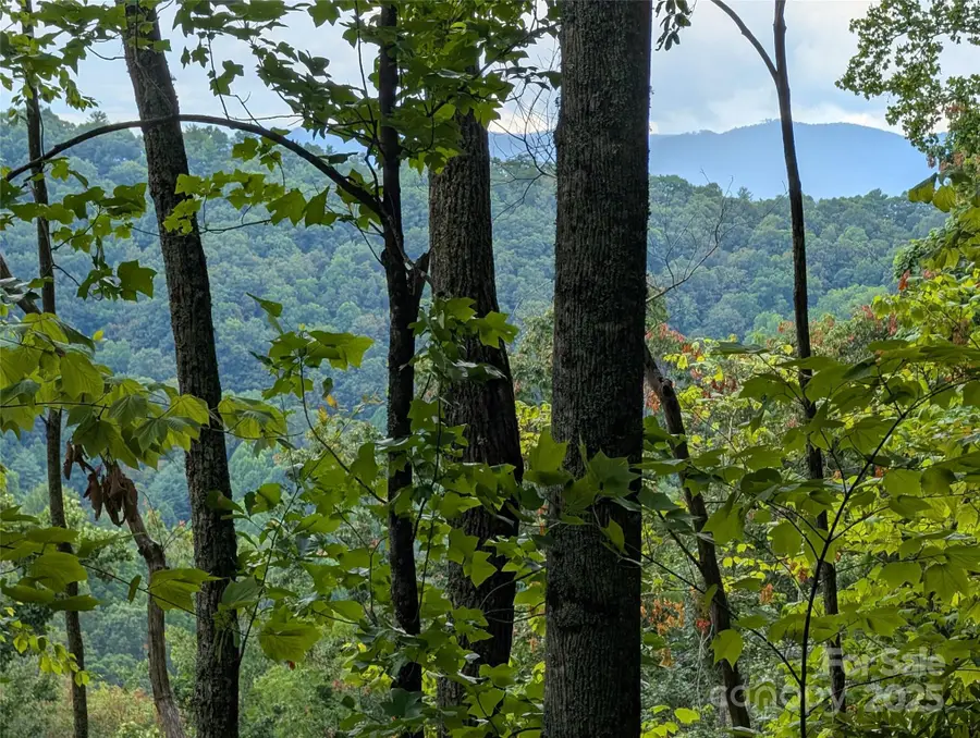 99999 Running Deer Lane #25, Mars Hill, NC 28754 - Image #3