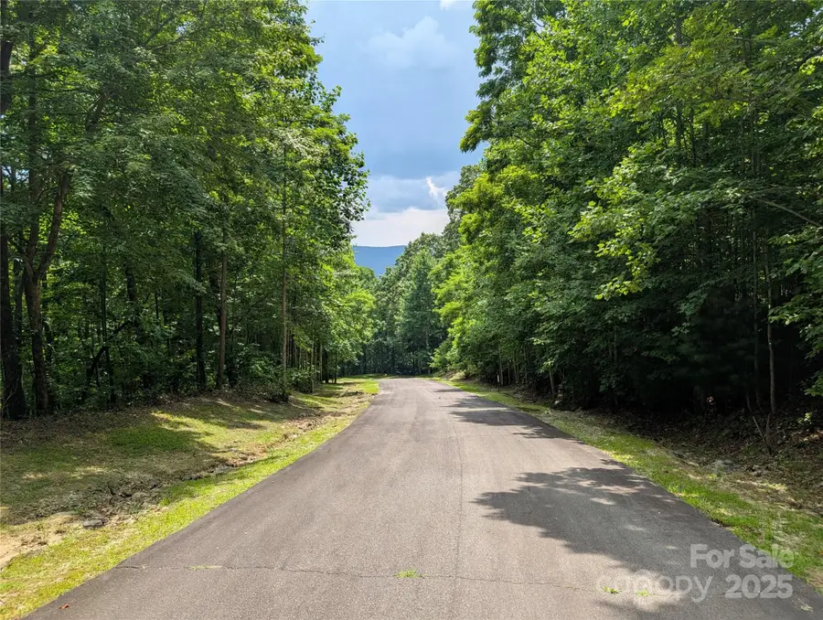 115 Ivywood Lane, Laurel Park, NC 28739 - Image #2