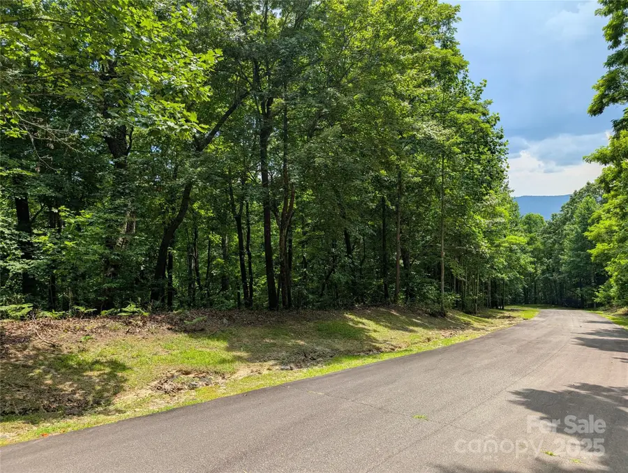 115 Ivywood Lane, Laurel Park, NC 28739 - Image #3