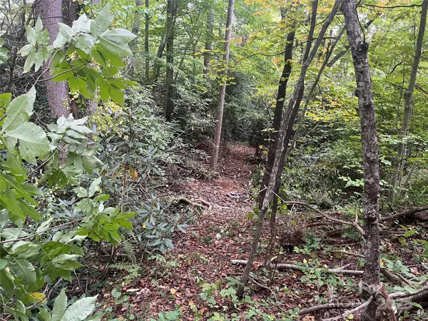 TBD Mecklenburg Circle, Montreat, NC 28757