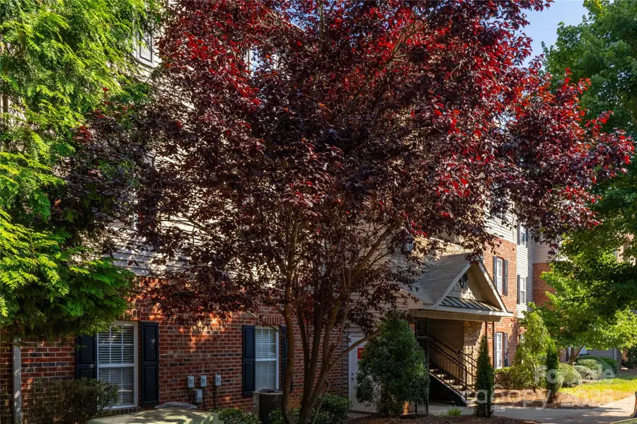 332 Appeldoorn Circle, Asheville, NC 28803 - Image #2