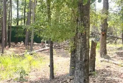 2127 Oldfield Road, Rock Hill, SC 29730 - #3