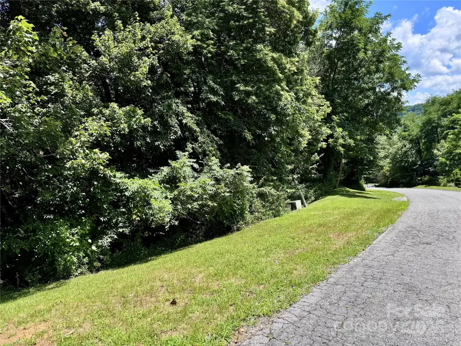 35 Ladys Fern Trail, Hendersonville, NC 28739 - Image #3