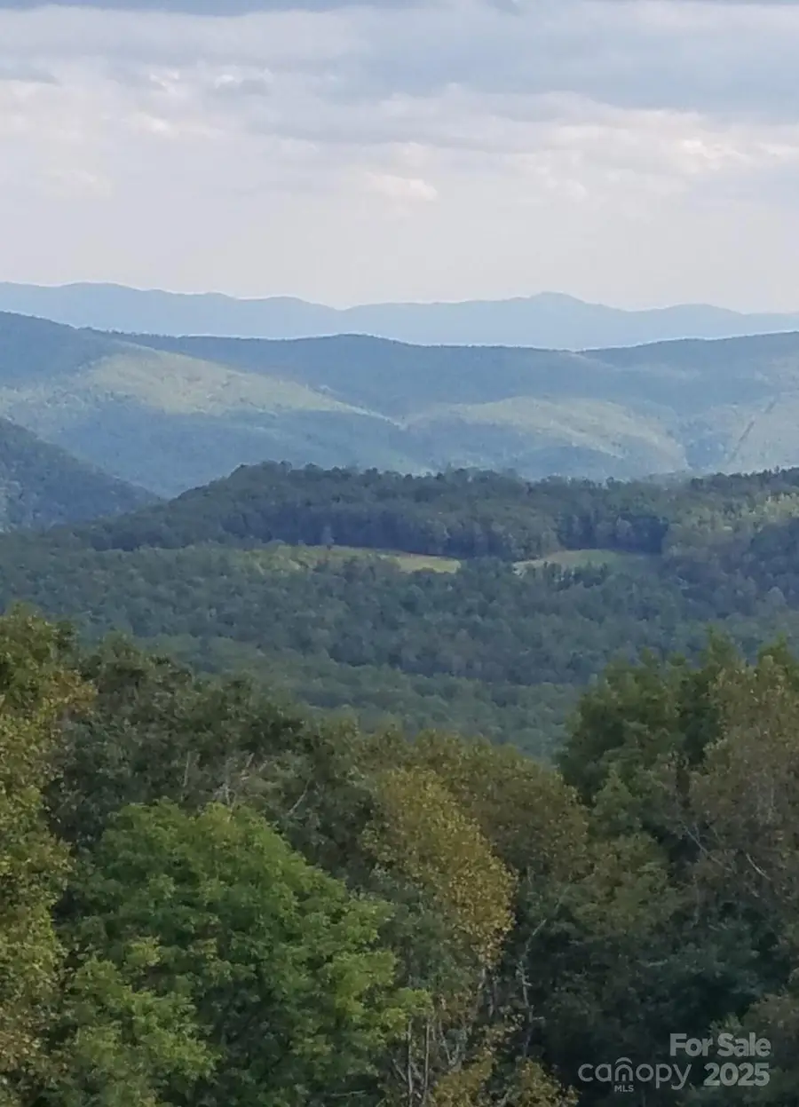 1241 Wipprecht Drive, Spruce Pine, NC 28777 - Image #3