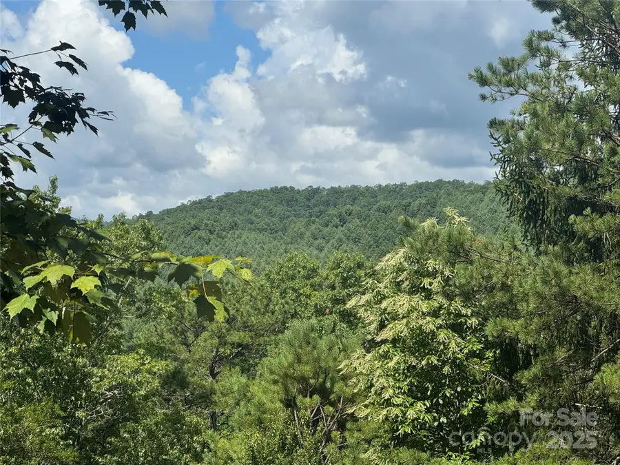 999 Ivy Lane, Pisgah Forest, NC 28768 - Image #2