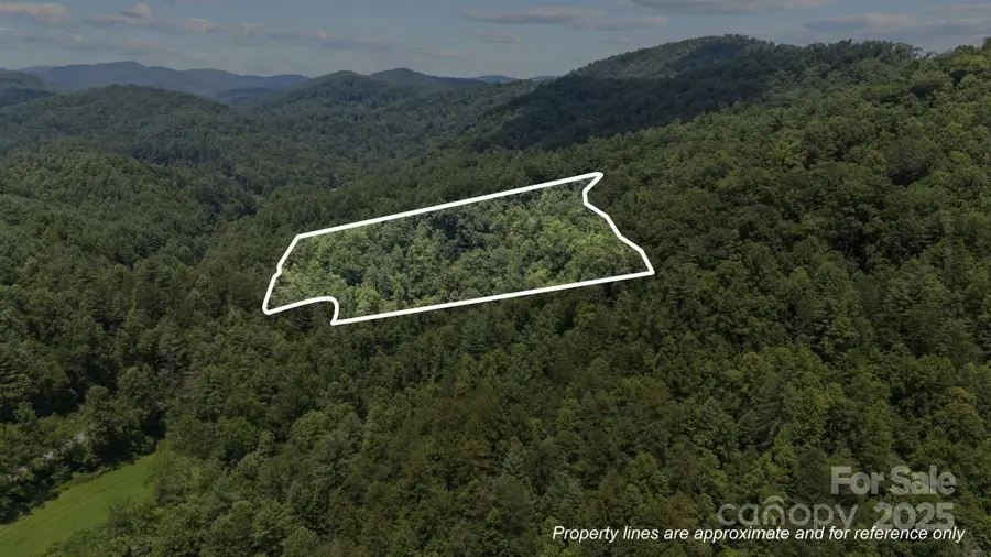 1296 Sheets Gap Road, Millers Creek, NC 28651 - Image #2