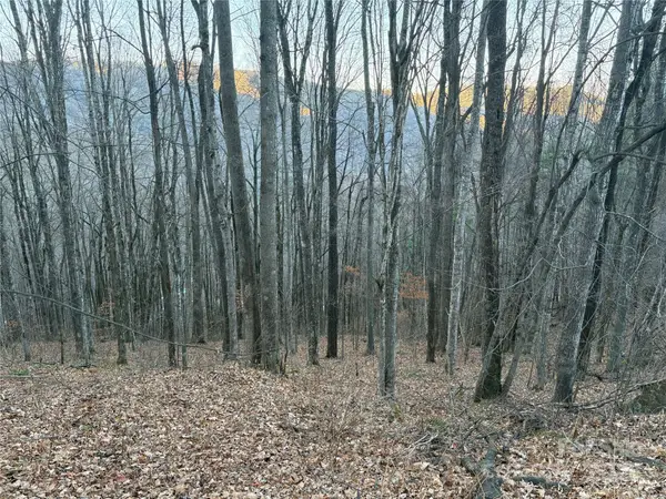 00 Slippery Rock Road #306 & 307, Waynesville, NC 28785