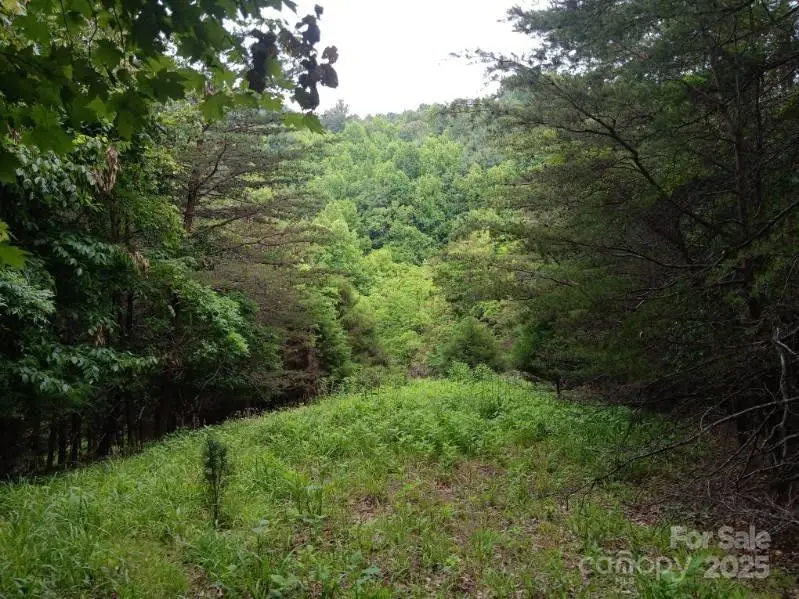 2255 Nc Hwy 268 Highway, Wilkesboro, NC 28697 - Image #1