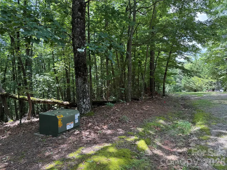 TBD Pine Burr Drive #139, Purlear, NC 28665 - Image #3