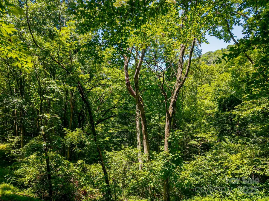 99999 Whispering Woods Path #44, Mars Hill, NC 28754 - Image #3