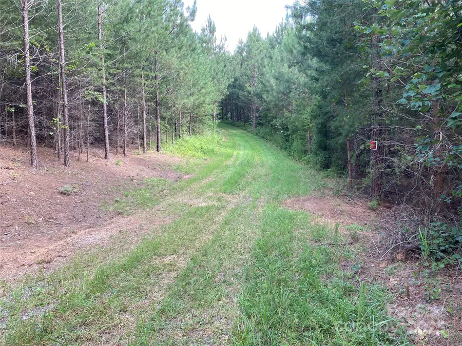 00 Jackson White Road, Lawndale, NC 28090 - Image #3