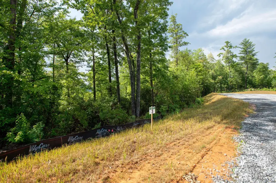 Lot # 3 Masterpiece View Drive #3, Hendersonville, NC 28739 - Image #3