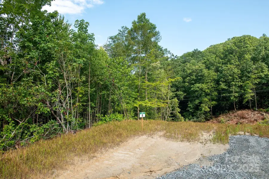 Lot # 8 Masterpiece View Drive #8, Hendersonville, NC 28739 - Image #3
