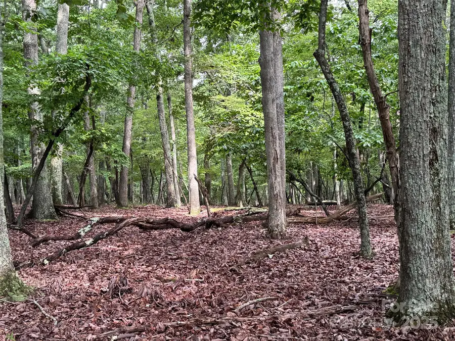 1695 Sierra Trace Road, Denton, NC 27239 - Image #2