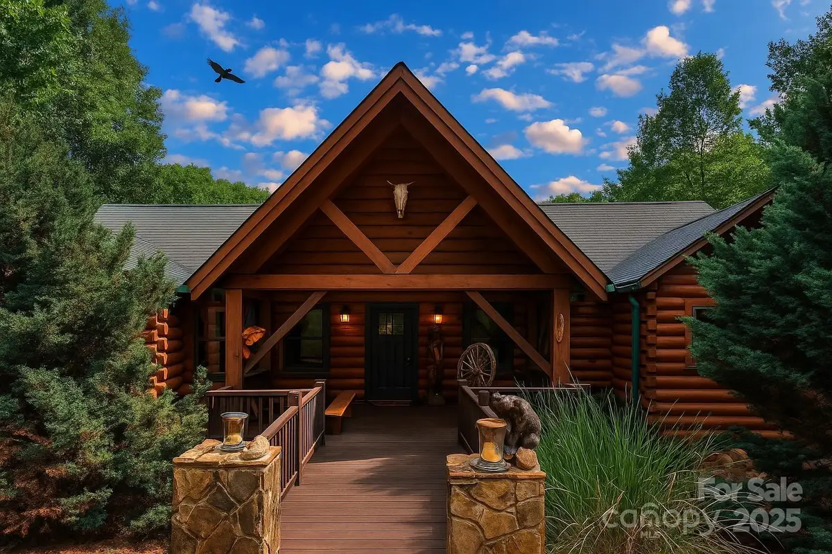 168 Atlantic Falls Trail, Black Mountain, NC 28711 - #1