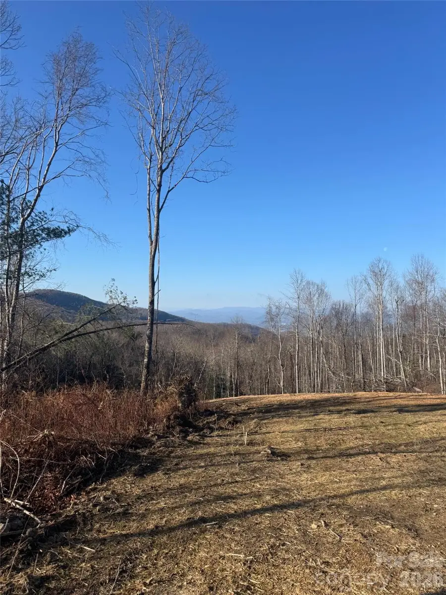 620 Dancing Bear Drive #195, Hendersonville, NC 28792 - #3